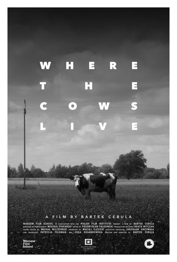 Where the Cows Live Bartek Cebula